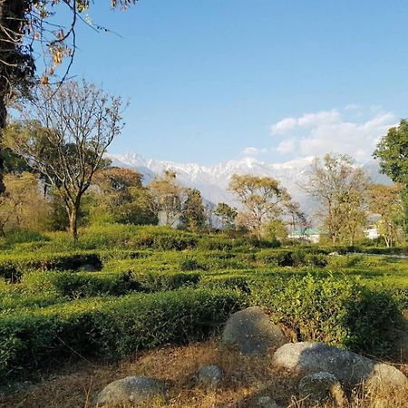 Abbey Cottage Dharamshala Exterior foto