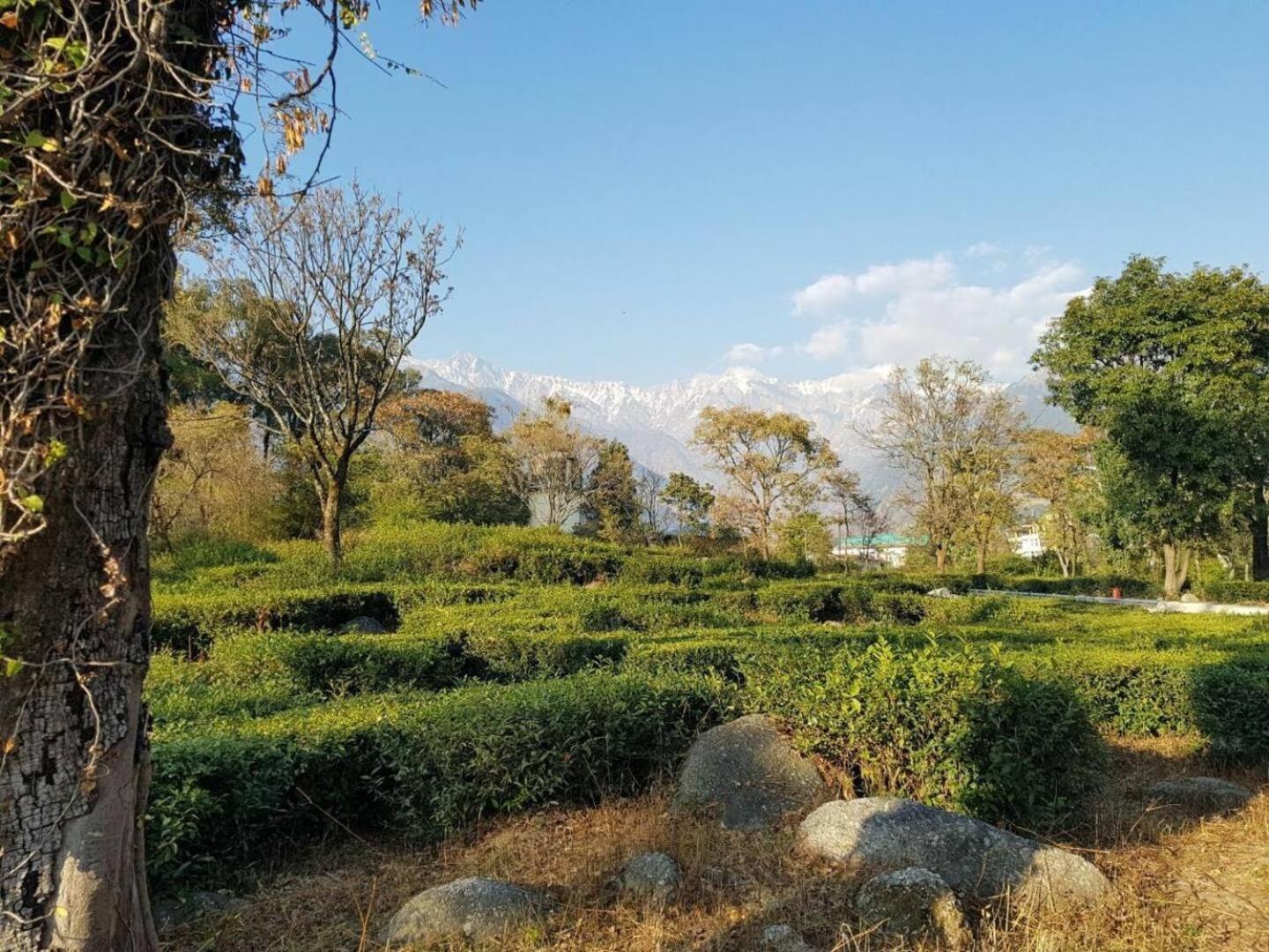 Abbey Cottage Dharamshala Exterior foto